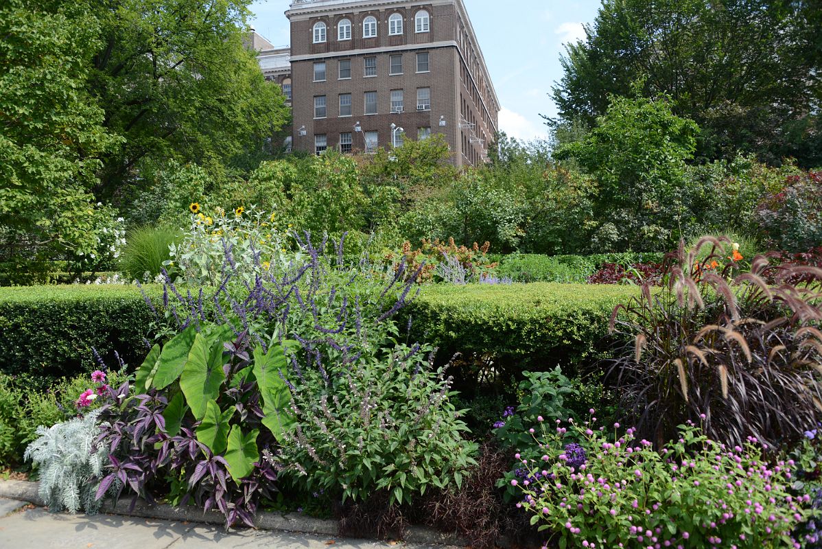 35H Flowers In South Conservatory English Garden In Central Park East 104 St